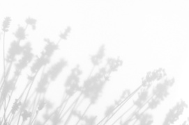 【プレゼントキャンペーン中】ユーガ ヴィーガン ドクダミシカ シリーズの精油  〜ラベンダー油＆ローズマリー葉油の特長〜