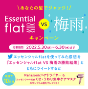 yIzGbZVflat VS ~J sʓeLy[