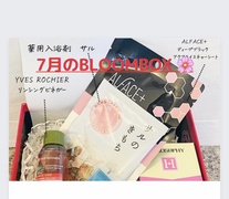 ϕĩTuXNI`BLOOM BOX 7 BOX`