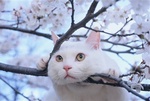 ^^^^^^