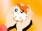 邢