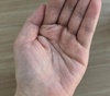 IMG_5629.jpeg