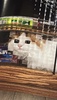 beibei22