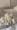 niconico