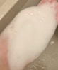 2024-07-15 16:52:38 by ݂7231
