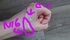 DSC_0088~2.JPG by chaitea:*:߂