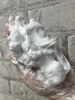 IMG_8900.jpeg