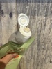 IMG_9344.jpeg