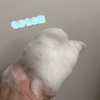 IMG_7539.jpeg