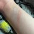 2017-11-22 16:19:40 by ݂邭܂