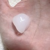IMG_2210.jpeg