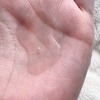 IMG_3157.jpeg