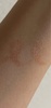 2024-12-07 21:15:01 by nTJ