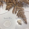 2024-03-02 17:28:16 by emaP