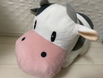 䂫灙