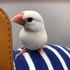 ҂̂