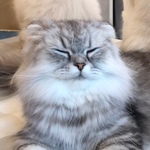 yuanako