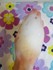 2012-04-23 08:32:21 by l`ms`Q