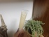 2019-12-19 12:42:54 by a.!