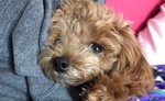 rY
