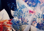 **`iTB݁j**