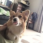 傿偦