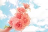 fB[[