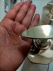 IMG20240611085831.jpg