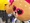 ブラウンくんさん