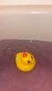 2025-05-02 19:44:04 by 䂫0923