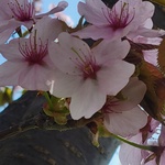 024
