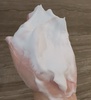 2025-04-11 14:06:46