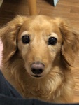 ꂱ