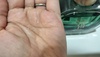 1000034828.jpg