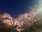 Aoyui