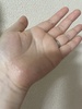 IMG_7868.jpeg by ՂɁ