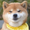 肠**