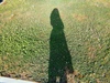 misstopiaC