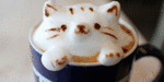 BlendCoffee