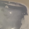 IMG_5318.jpeg