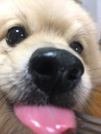 *Ƃ悩*