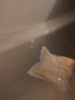 2024-07-12 22:04:21