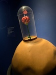 ǂ肠[M