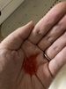 IMG_0896.jpeg by 悵݁0213