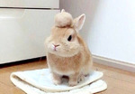 l\C