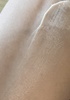 pdc / sA@i`@v~A@uCgjO@fCN[tuiby Ryo111j