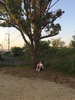 V[bNKID