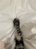 ܂