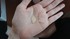 DSC_4568~2.JPG by I