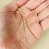 IMG_4085.jpeg